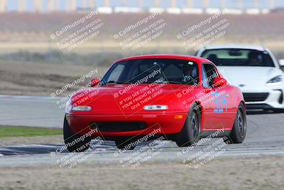 media/Feb-04-2023-Turn8 Trackdays (Sat) [[beeaee2017]]/Intermediate 1/Session 3 (Outside Grapevine)/